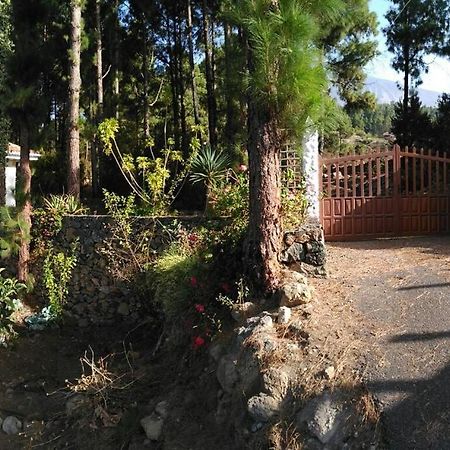 Floral Garden House Villa Icod De Los Vinos Eksteriør billede