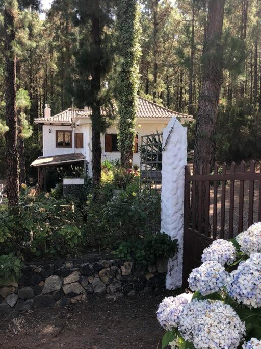 Floral Garden House Villa Icod De Los Vinos Eksteriør billede