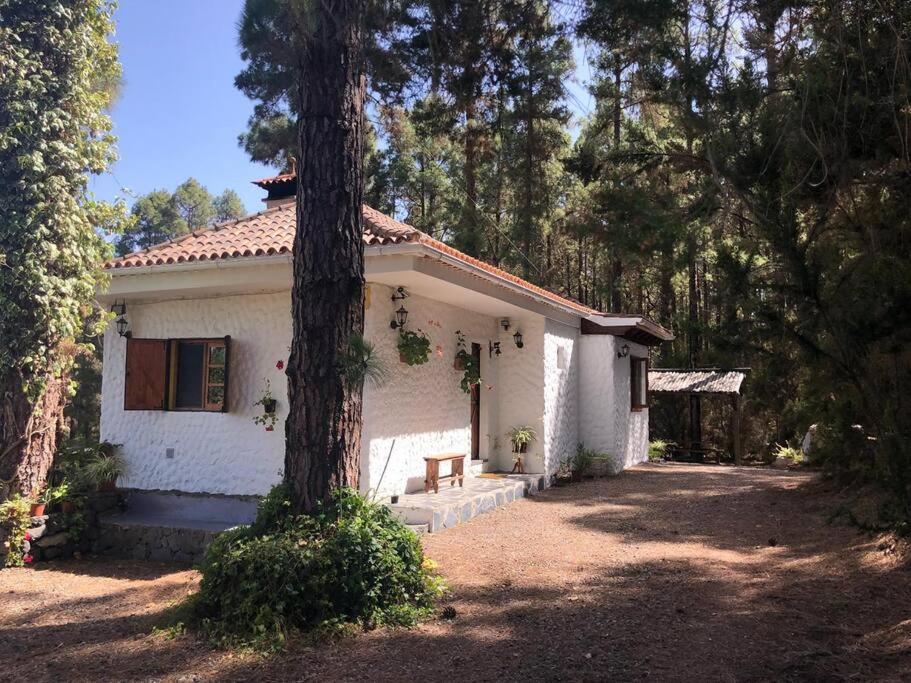 Floral Garden House Villa Icod De Los Vinos Eksteriør billede