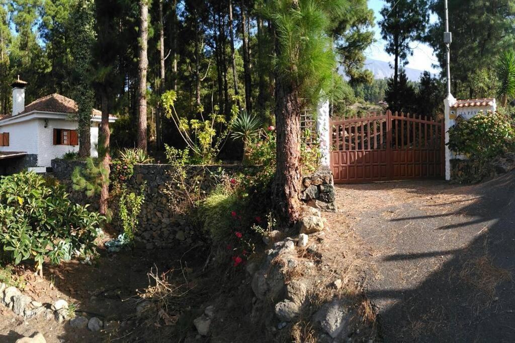 Floral Garden House Villa Icod De Los Vinos Eksteriør billede